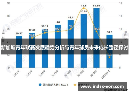 新加坡青年联赛发展趋势分析与青年球员未来成长路径探讨