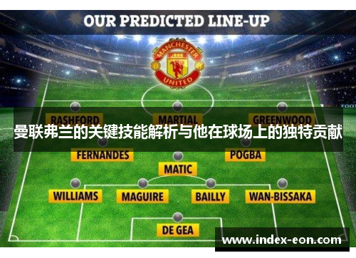 曼联弗兰的关键技能解析与他在球场上的独特贡献